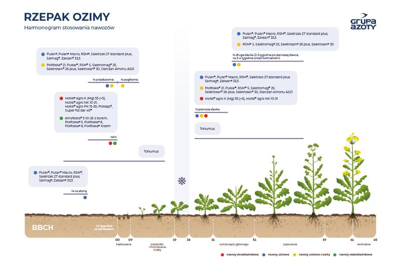 Praktyczny przewodnik po nawożeniu rzepaku: Czym i kiedy należy to robić?