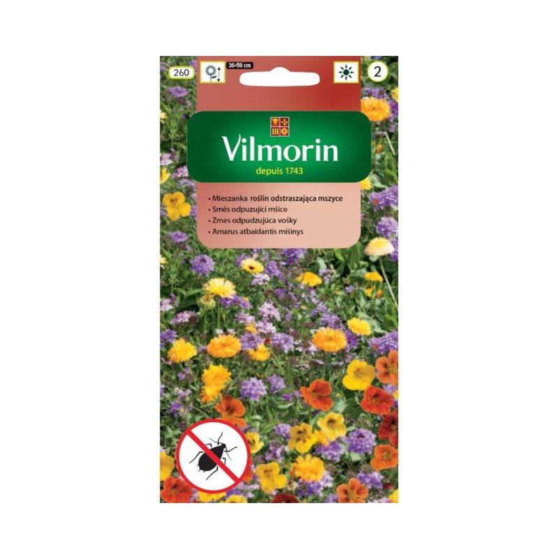 Rośliny odstraszające mszyce