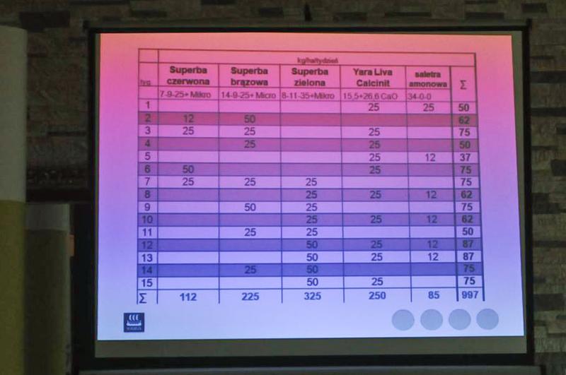 Jak i kiedy nawozić ogórki? Praktyczny poradnik dla każdego ogrodnika