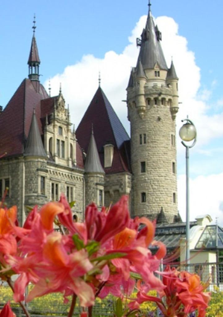 Kiedy nawozić azalie