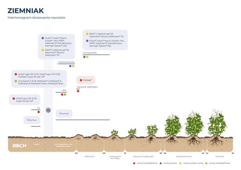Nawożenie ziemniaków