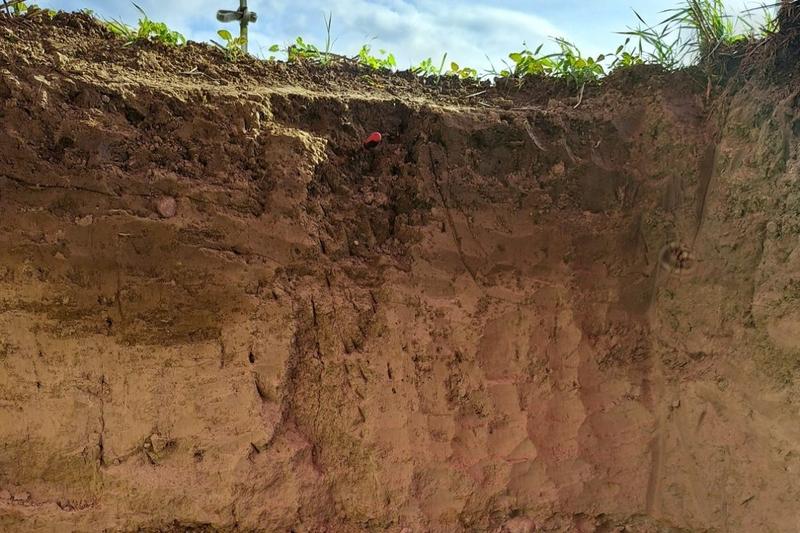 Prochnica gleby: Kluczowe informacje, które musisz znać