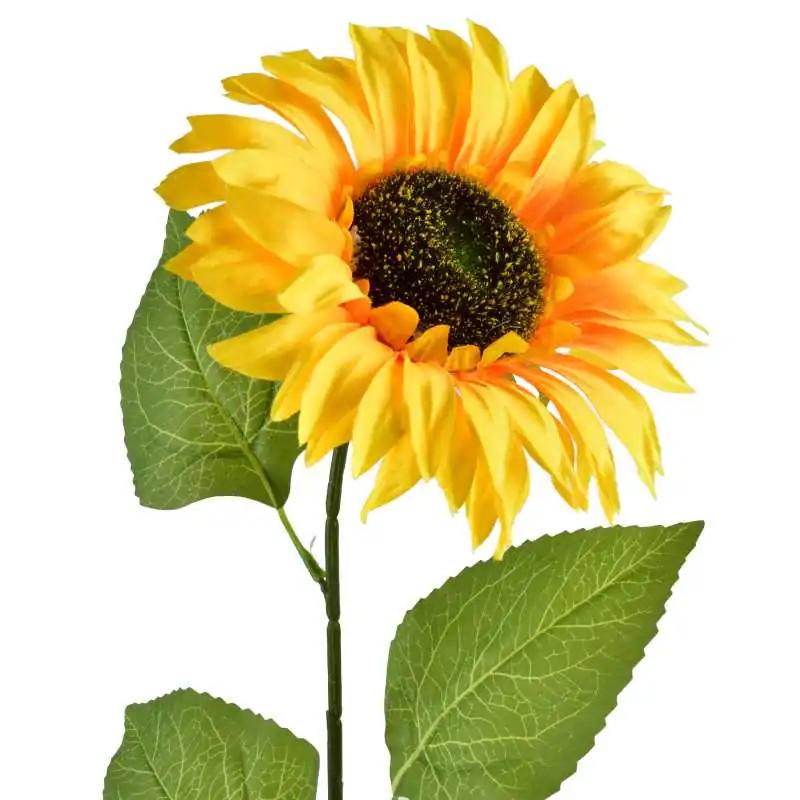 Rodzaje nawozów do słonecznika