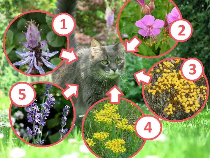 Ekologiczne metody w ogrodzie