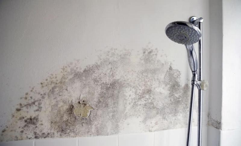 Jak pozbyć się wilgoci z łazienki