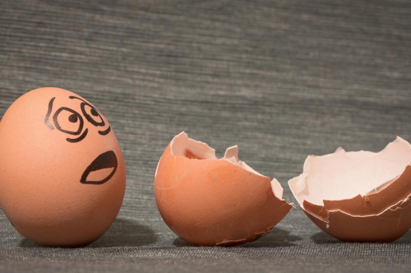 Naturalne nawożenie roślin