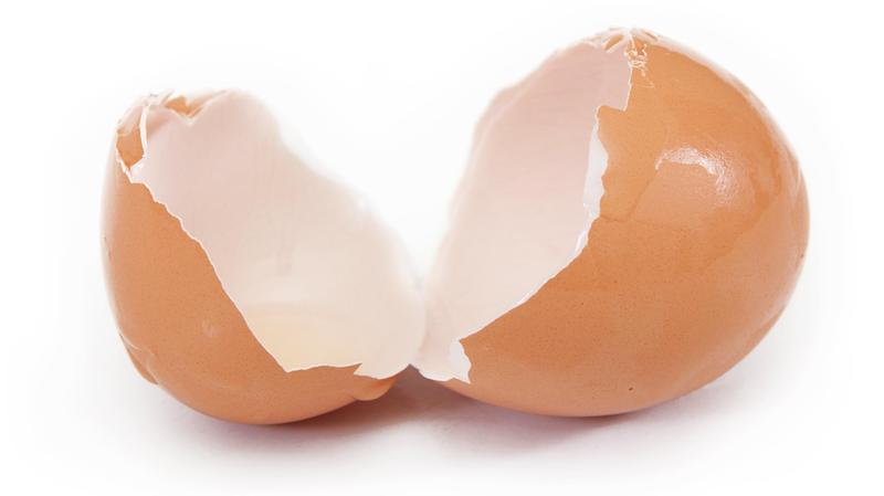 Rośliny lubiące wapń