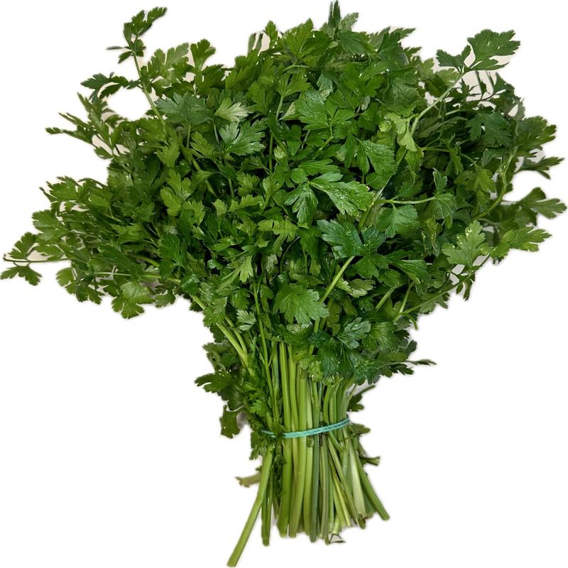 Uprawa natki pietruszki