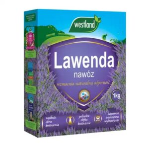 Jak skutecznie nawozić lawendę? Sprawdź, kiedy i czym to robić! Poradnik ogrodnika