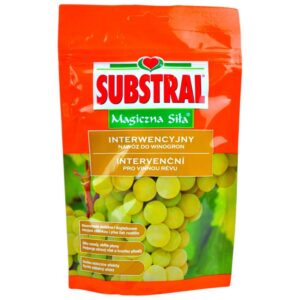 Jak skutecznie nawozić winogrona – kiedy i czym najlepiej to zrobić?