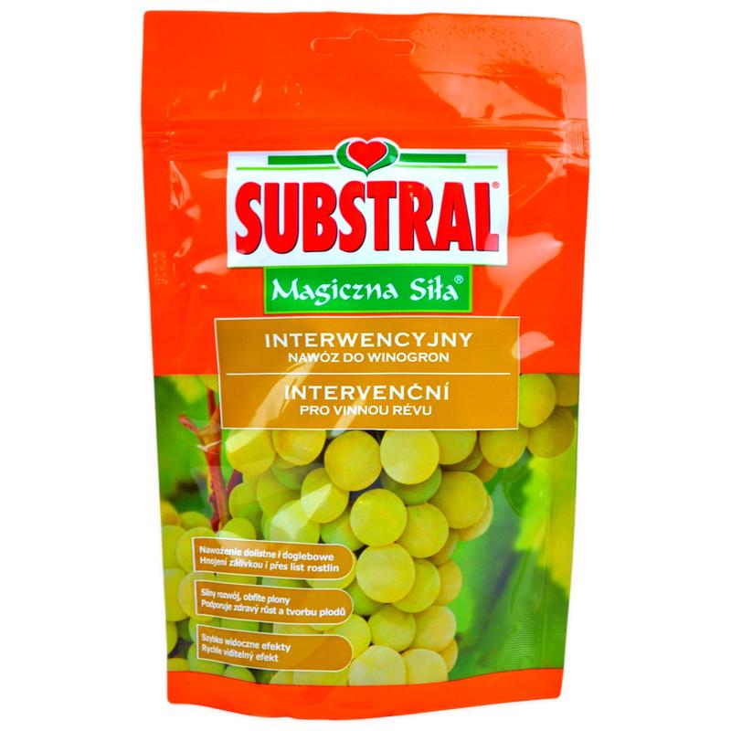 Jak skutecznie nawozić winogrona – kiedy i czym najlepiej to zrobić?