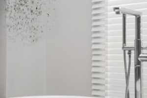 Jak skutecznie pozbyć się wilgoci z łazienki: praktyczne porady i sprawdzone metody