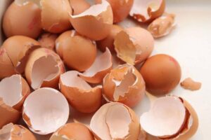 Skorupki jajek jako naturalny nawóz – które rośliny skorzystają najbardziej?