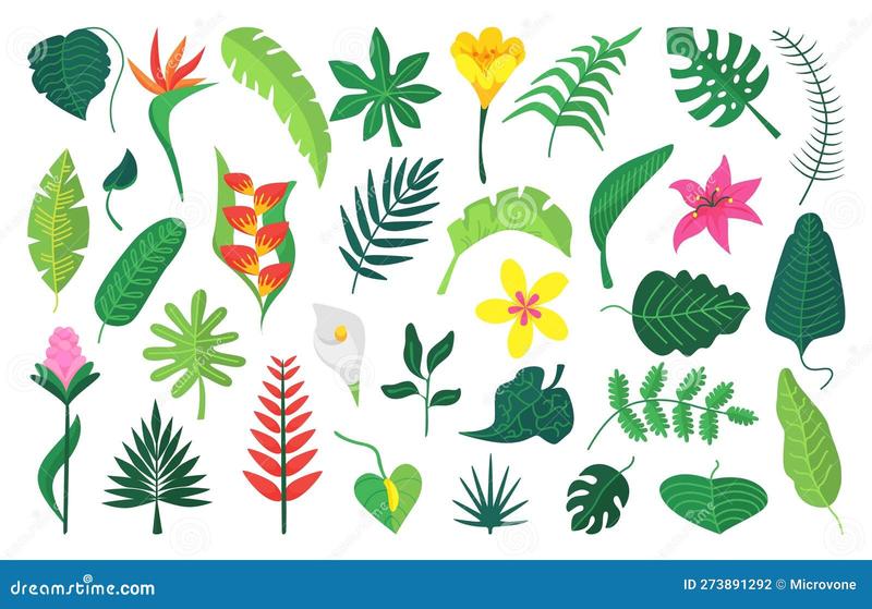 Żółknięcie liści roślin doniczkowych