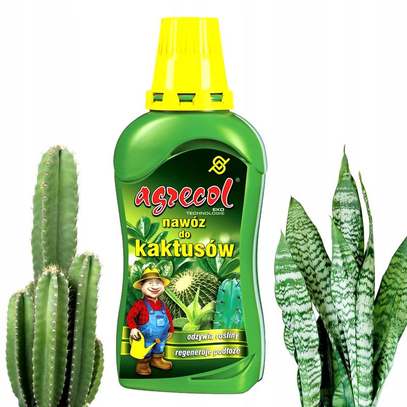 Odkryj tajniki nawożenia sansewierii: kiedy i czym zadbać o zdrowie swojej rośliny?