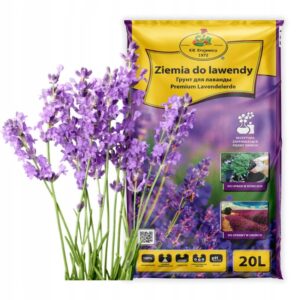 Odpowiednia ziemia do lawendy – jak ją wybrać, by cieszyć się pięknem rośliny?