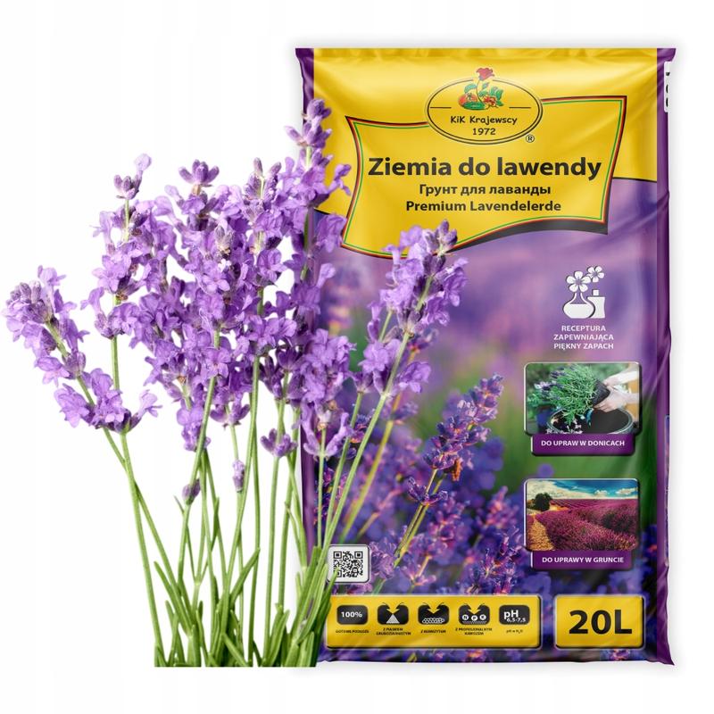 Odpowiednia ziemia do lawendy – jak ją wybrać, by cieszyć się pięknem rośliny?