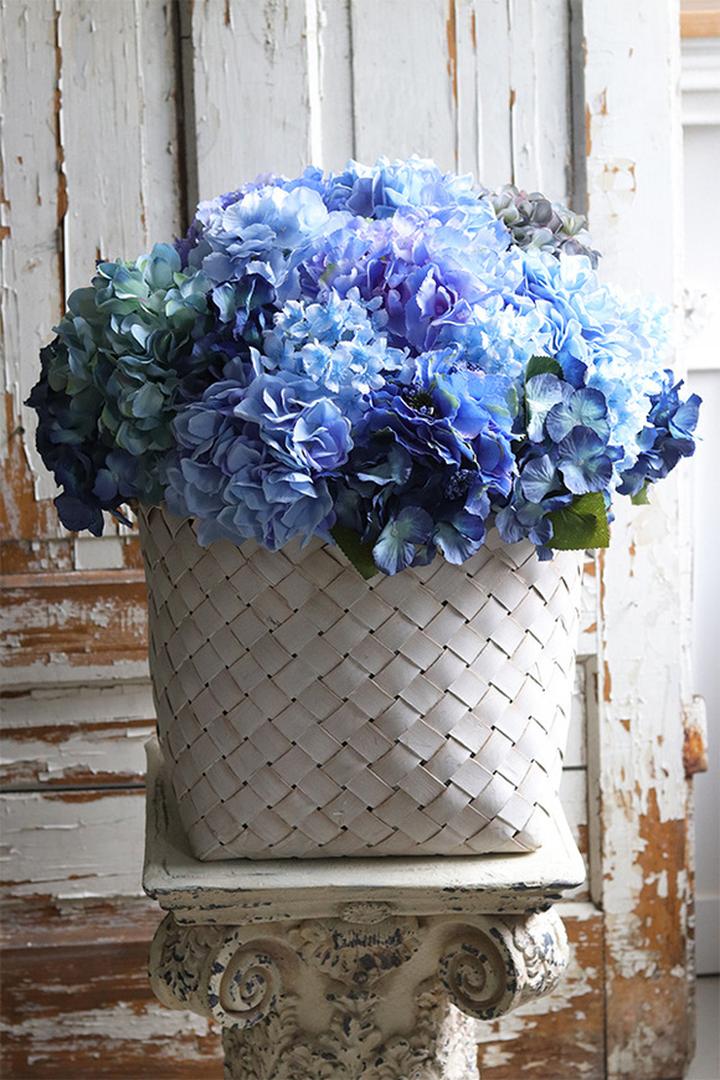 Nawożenie hortensji