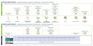 Jak nawozić borówkę amerykańską? Czym i kiedy to robić – praktyczny poradnik dla każdego ogrodnika