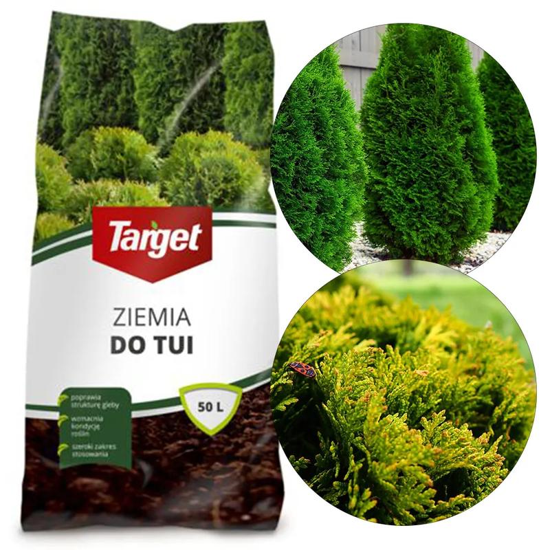 Jaką ziemię wybrać dla tui i iglaków, by cieszyć się ich zdrowym wzrostem?