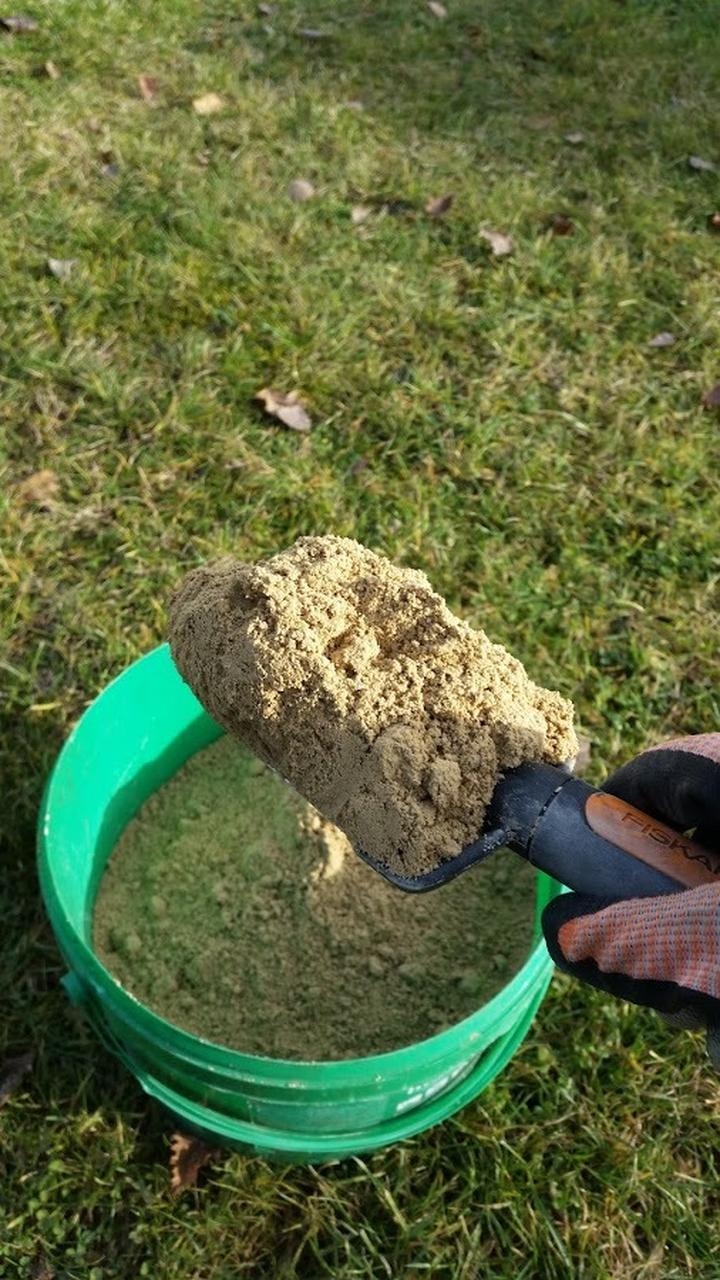 Kiedy wapnować trawnik