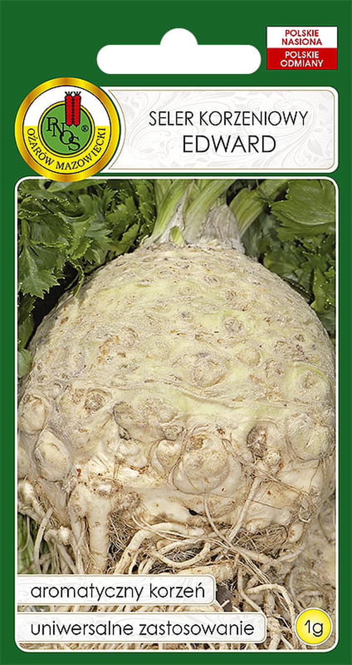 Nawadnianie i nawożenie selera