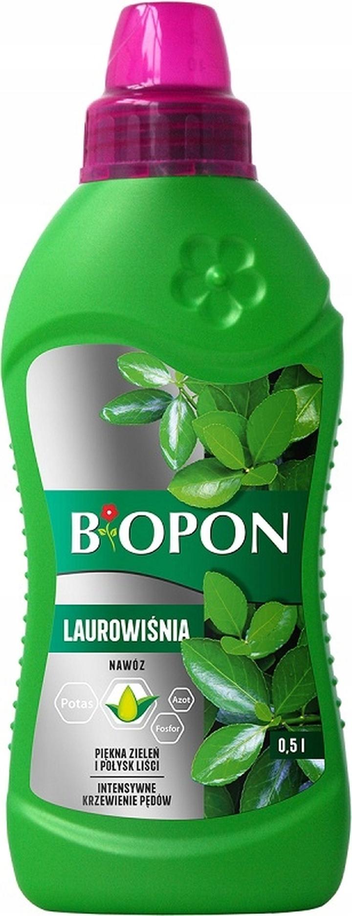 Nawożenie laurowiśni