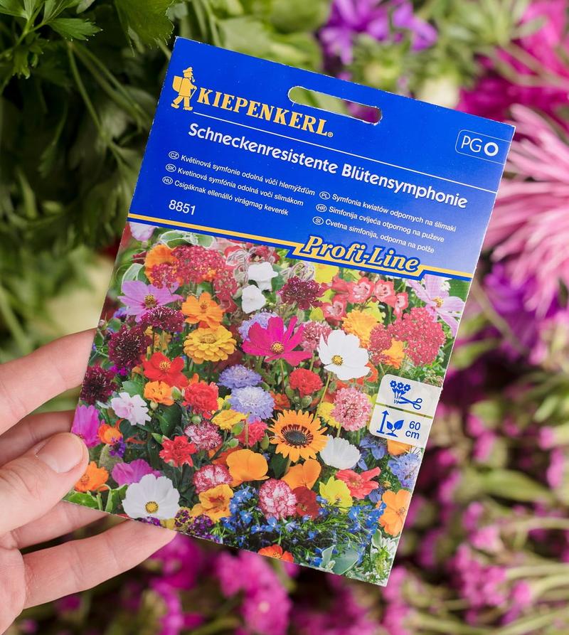 Ochrona ogrodu przed ślimakami