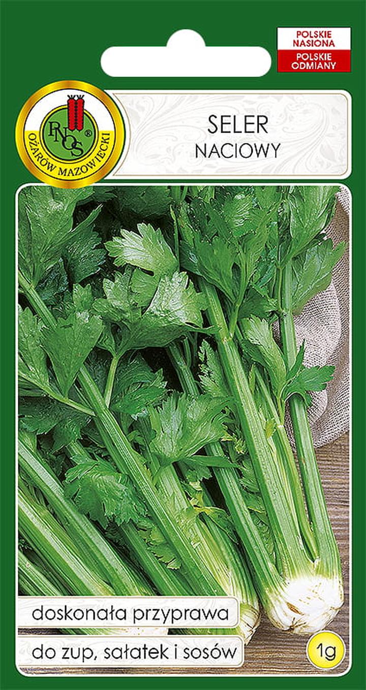 Uprawa selera krok po kroku