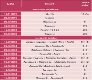 Jak skutecznie nawozić maliny? Sprawdzone rozwiązania na czas i sposób działania