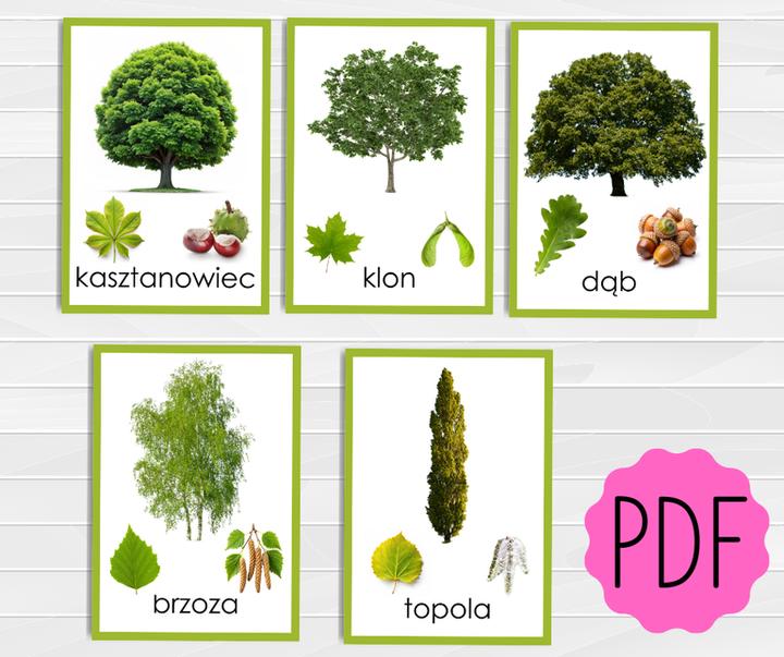 Drzewa liściaste w ogrodzie