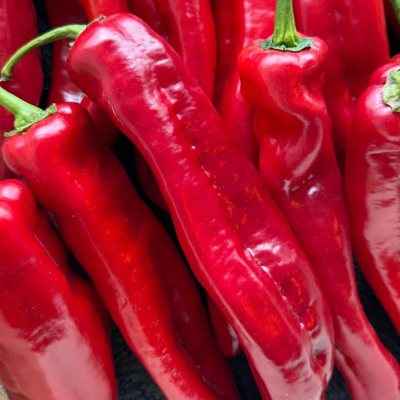 Papryka: Stawiamy czoła zagadce, czy to owoc, czy warzywo?