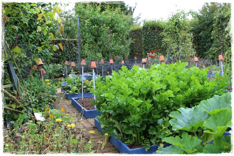 Przygotowanie gruntu pod warzywnik